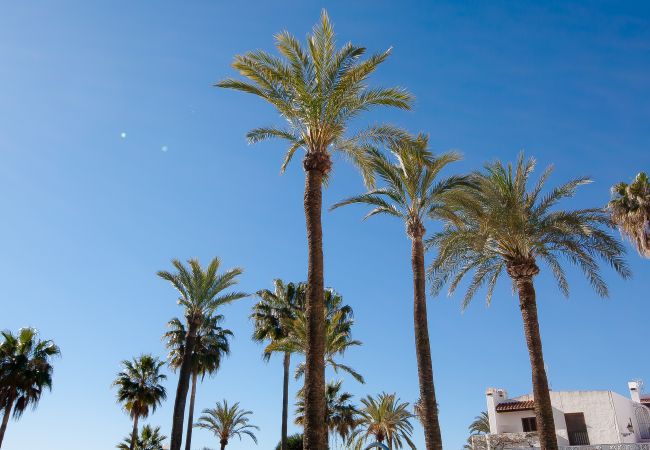 Apartamento en Manilva - Marina Real 264 Apartamento en Manilva - Marina Real 264