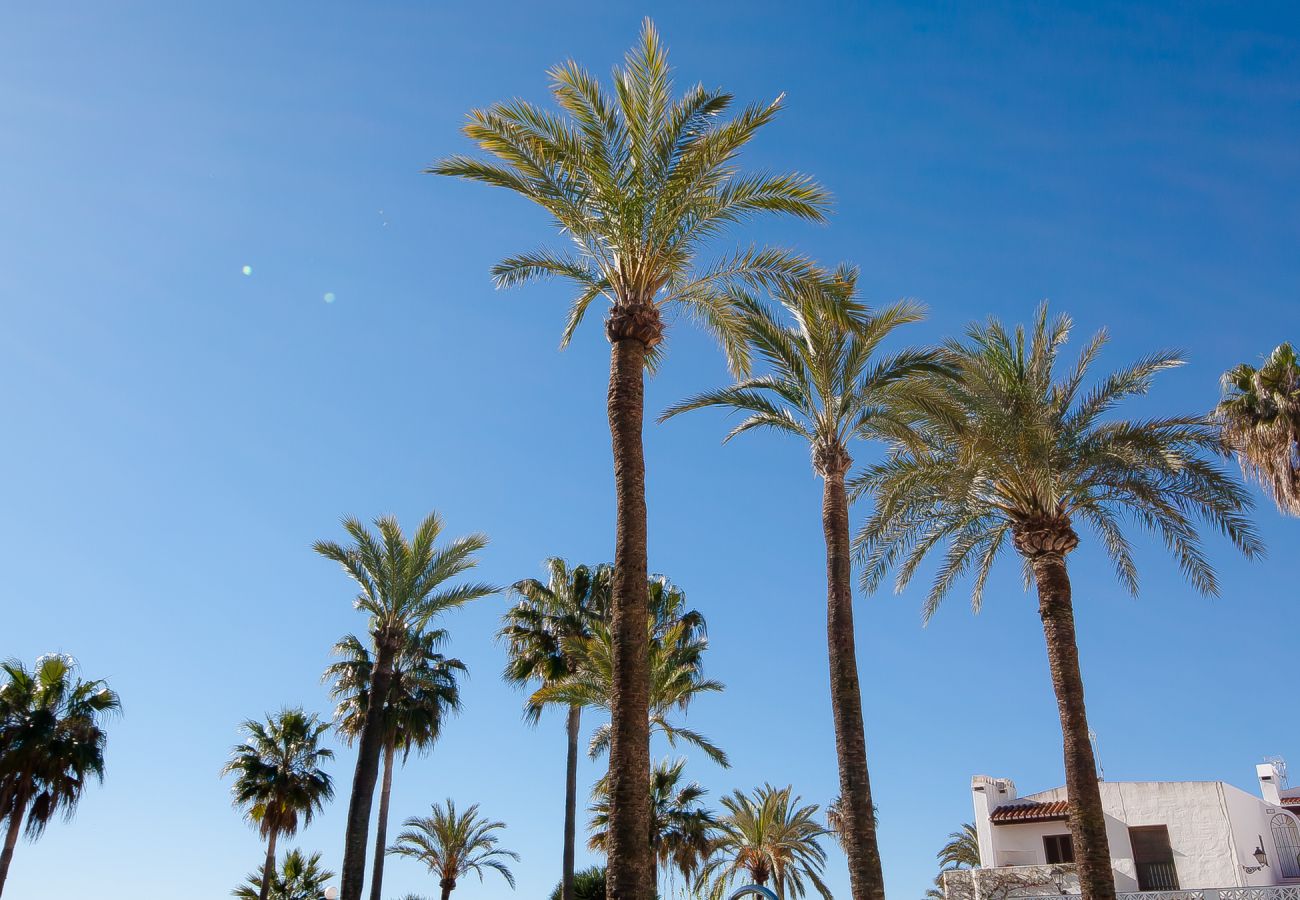 Apartamento en Manilva - Marina Real 264 Apartamento en Manilva - Marina Real 264