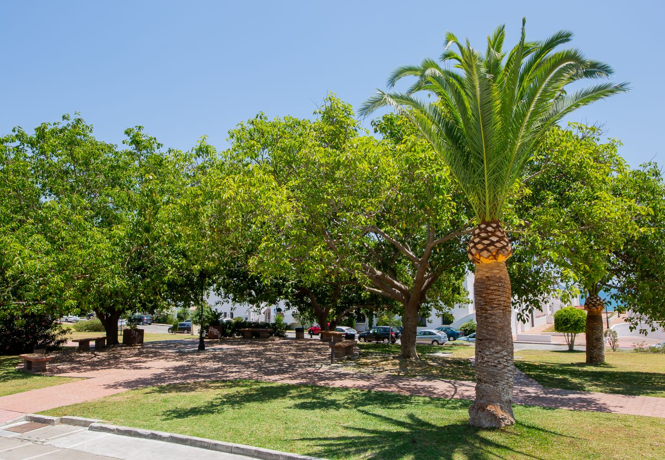 Apartment in Manilva - Los Pelicanos 2.103